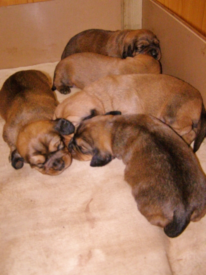 Už vidíme -CH.stanica Rodbach-H