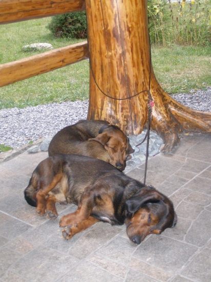 únava po výstave vo SV.Antone