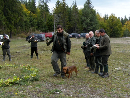 PF Poko spz Poprad PZ šuňava