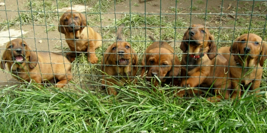 Naposledy spolu Rodbach vrh K, AJD