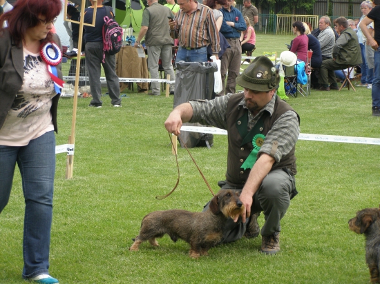 Sebastián Viva Moravia chovný pes