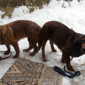 olaf Plesnivec a div.Idea od Sv.Huberta snazenieje u konca.
