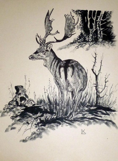 Daniel - tuš, 30x40