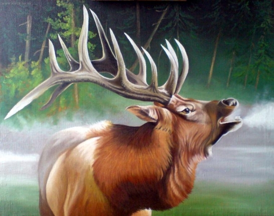 Jeleň v rannom opare - olej na plátne