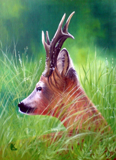 Srnec - olej 30x40