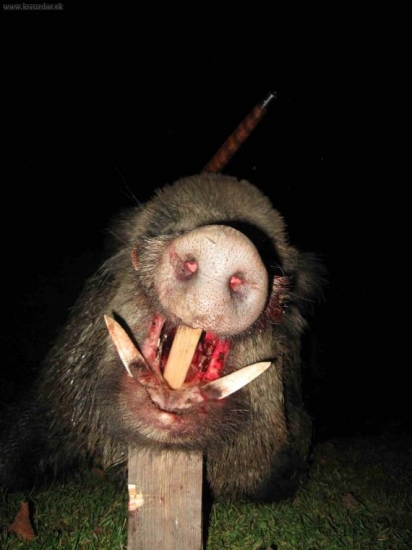 knour zbrane venku 7,5cm