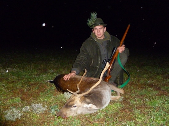 Daněk vidlák