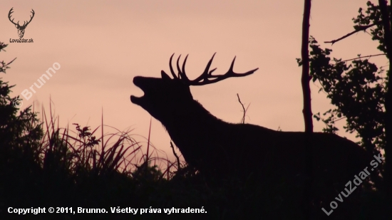 Za prvého svitu...