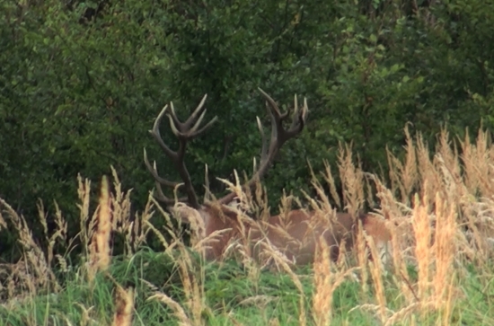 Ďalší, tento je minimálne 20-torák...