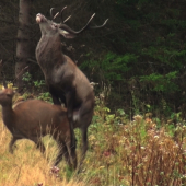 láska je láska ! ...
