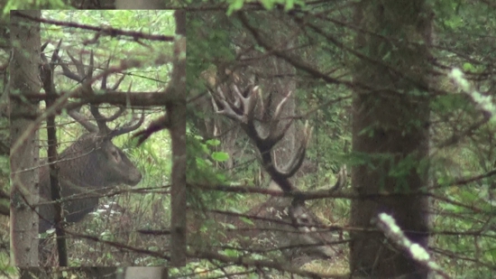 Kapitálny v dnešnom daždi...