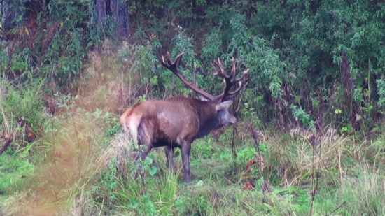 Krásne dnešné ráno...