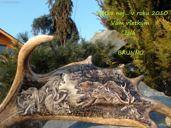 Darček manželky od Carpina...