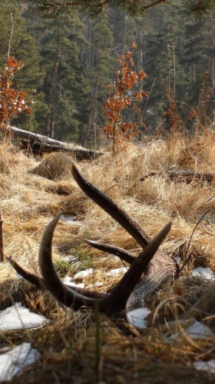 ... z opačnej strany