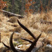 ... z opačnej strany