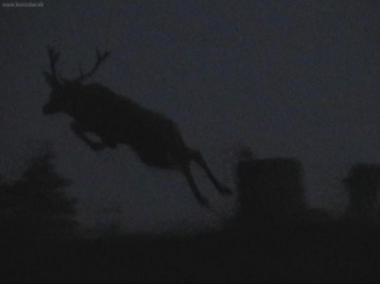 Prekvapený za tmy II