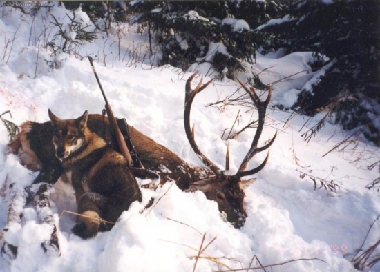 Náročná dohľadávka...