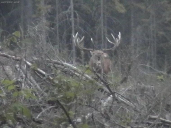 Ruja 2007..., olámaný 16-torák!