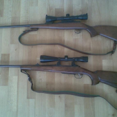 moje orechove husličky