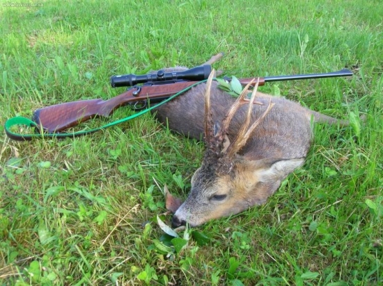 Můj životní - dnes ráno