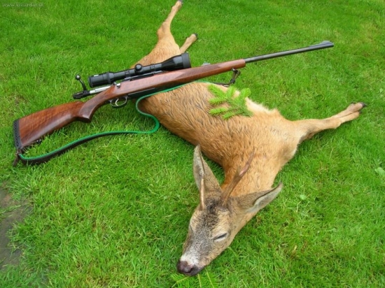 Po včerejší bouřce