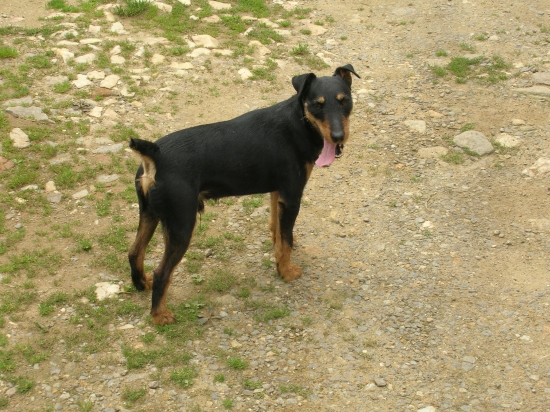 Nikdy už mě nebude doprovázet