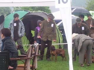 CITA Hrochotská dolina - premiera v triede mladých