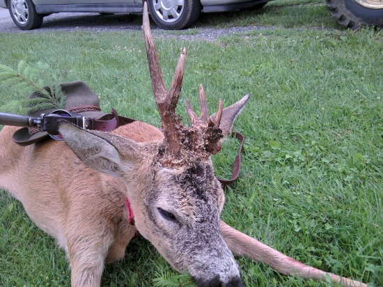 Nepravidelný desatorák - detail