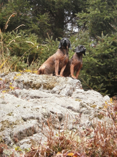 to je ale krásny výhľad