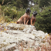 to je ale krásny výhľad