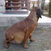už zanedlho