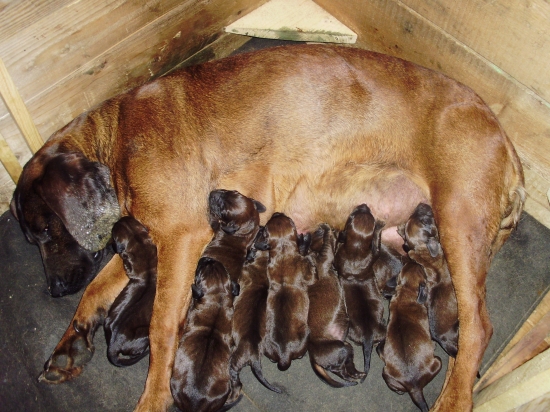 tak, už to máme úspešne za sebou