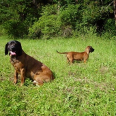 Jago?volačo tam je...