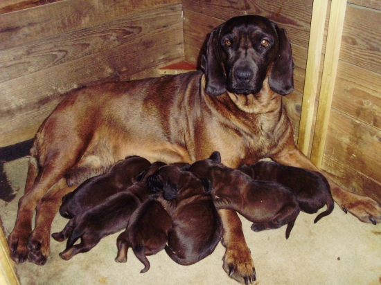 Sladký odpočinok Farbiarikov