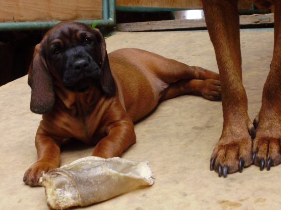 Cita Kamenný Grúň