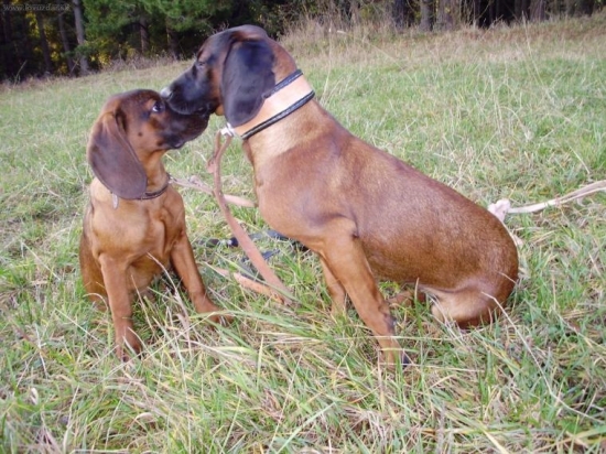 Dona a Era spod Oravského Hradu