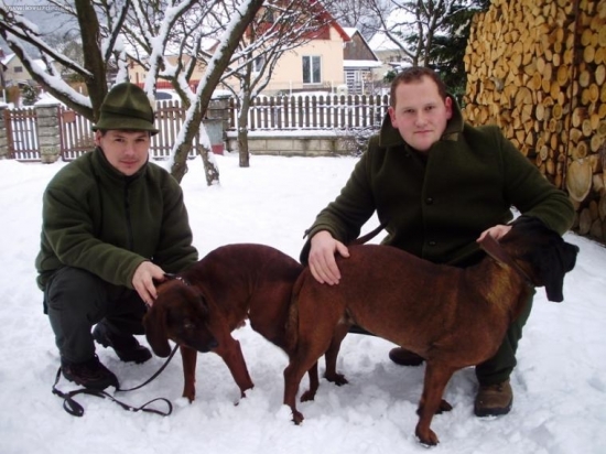 spojenie-Jago Dravecká Dolina:Cira z  Oravského Podzámku