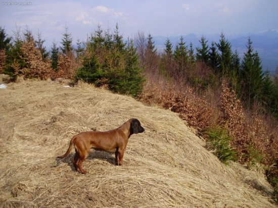 to je ale krásny výhlad