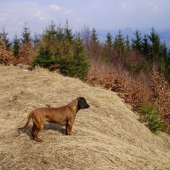 to je ale krásny výhlad