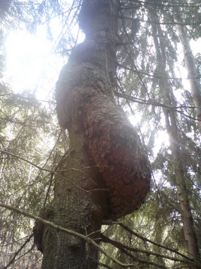 53842