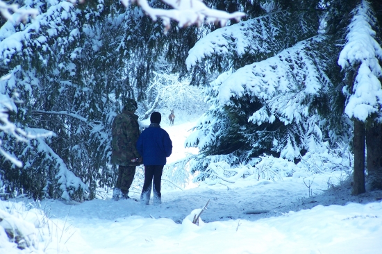 odovzdávanie skúsenosti