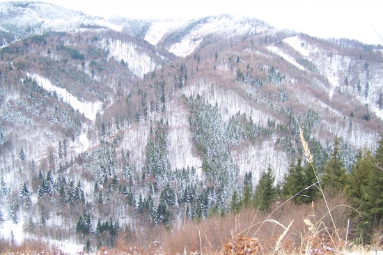 čergovské kopčeky....