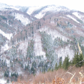 čergovské kopčeky....