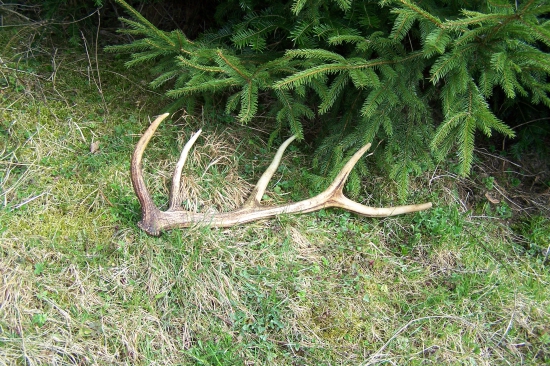 dnešná prechadzka...