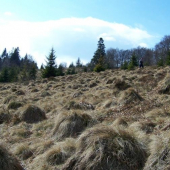 hopsáááááá....