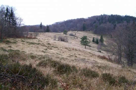 cesta na minčol