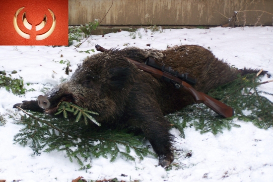 Dárek od Diany a Huberta k vánocům