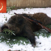Dárek od Diany a Huberta k vánocům