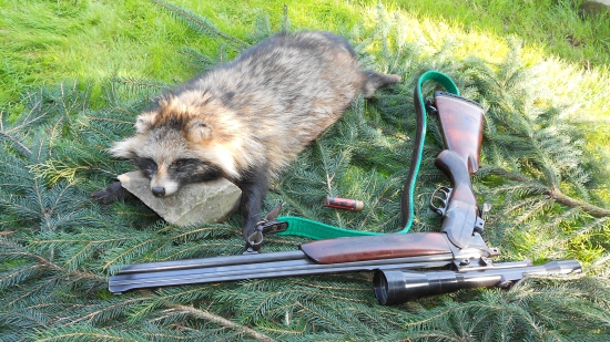 Včera při měsíčku