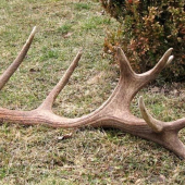 18-torák; 3,8 kg